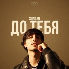 Песня  SUNAMI - До тебя