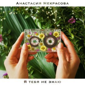 Песня  Анастасия Некрасова - Я тебя не знаю