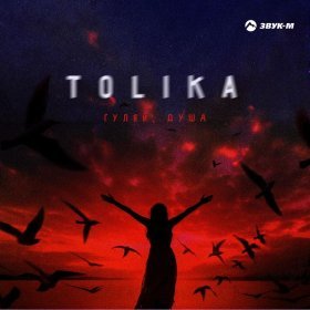 Песня  TOLIKA - Гуляй, душа