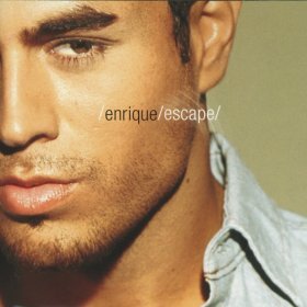 Песня  Enrique Iglesias - I Will Survive