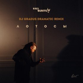 Burito – Лотосы (DJ Gradus Dramatic Remix) ▻Скачать Бесплатно В.