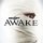 Скачать Skillet - Awake and Alive