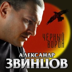 Александр ЗВИНЦОВ – Я Освободился ▻Скачать Бесплатно В Качестве.