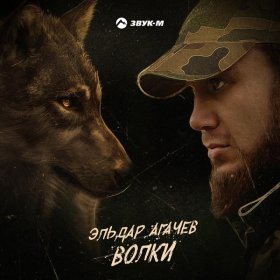 Ән  Эльдар Агачев - Волки