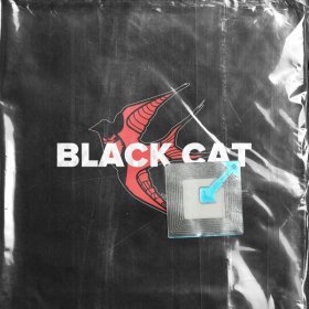 LeanJe – BLACK CAT ▻Скачать Бесплатно В Качестве 320 И Слушать.