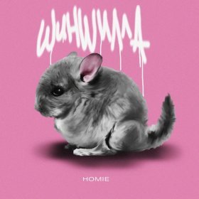 Песня  HOMIE - Шиншилла