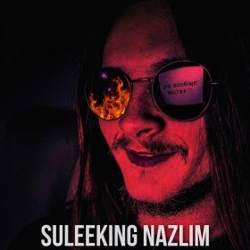 Песня  Suleeking Nazlim feat. Violenur - Задолбался!