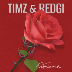 Ән  TIMZ, REDGI - Обещания