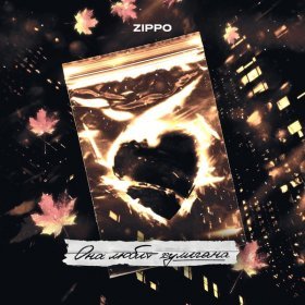 Ән  ZippO - Она любит хулигана