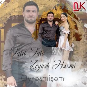 Ән  Talıb Tale feat. Zeynəb Həsəni - Öyrəşmişəm