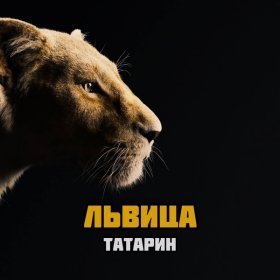 Ән  ТАТАРИН - Львица