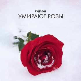 Песня  ГУДЗОН - Умирают розы