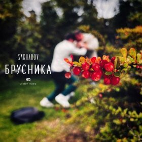 Ән  SAKHAROV - Брусника