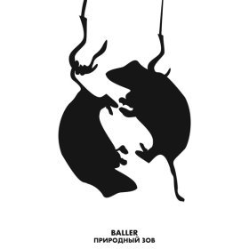 Ән  BALLER - Природный зов