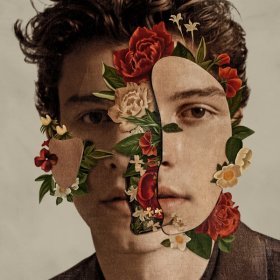 Ән  Shawn Mendes - In My Blood