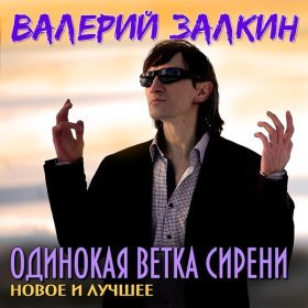 Валерий Залкин – Одинокая Ветка Сирени ▻Скачать Бесплатно В.