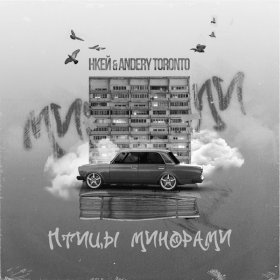 Песня  Нкей, Andery Toronto - Птицы минорами