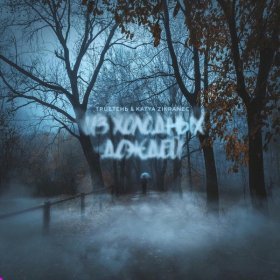 Песня  TRUEтень feat. Katya Zikraneс - Из холодных дождей