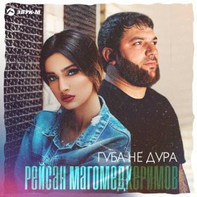 Песня  Рейсан Магомедкеримов - Губа не дура